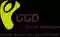 Logo GGD Hollands Noorden. Samen werken aan gezond leven.